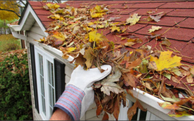 Landmark Exteriors—Time to give your gutters some TLC