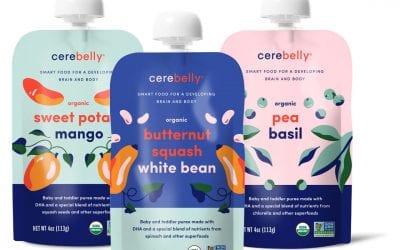 Cerebelly