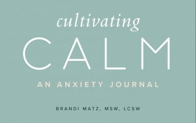 Meet a Mom, Author- Brandi Matz