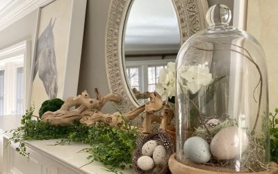 Spring Home Refreshers from Designer Jill Rae
