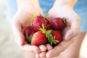 Pick Your Own-2021 Guide
