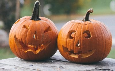 Weekend Round Up: 10/19