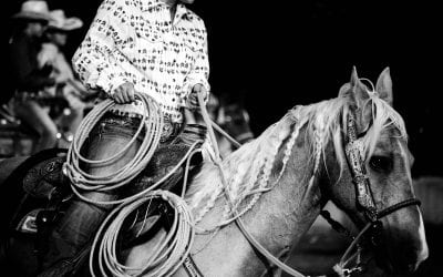 Family Friendly Guide to The Houston Livestock Show and Rodeo