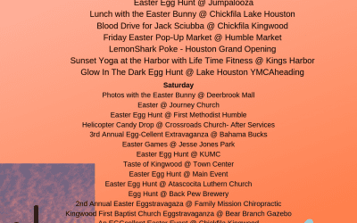 Weekend Round Up 4/19