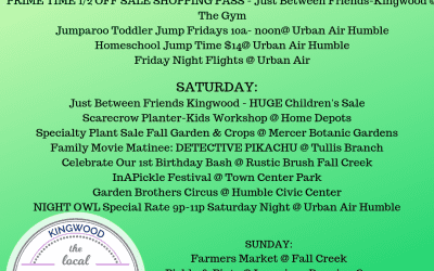 WEEKEND ROUND UP: 9/6