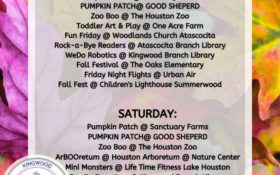 Weekend Round Up: 10/18-10/20