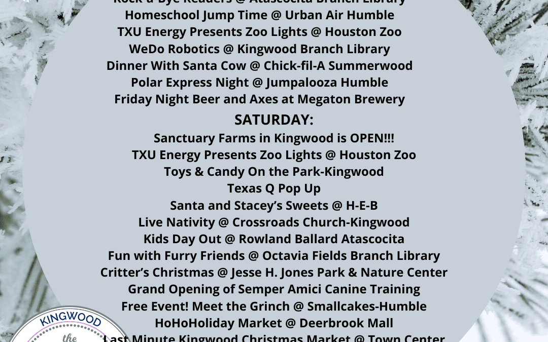 WEEKEND ROUND UP: 12/20