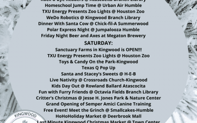 WEEKEND ROUND UP: 12/20