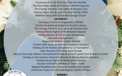 Weekend Round Up
