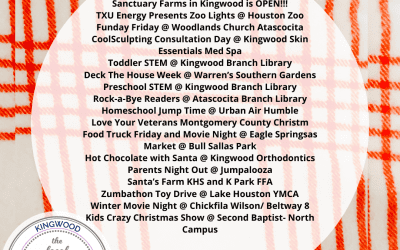 WEEKEND ROUND UP:12/6-12/8