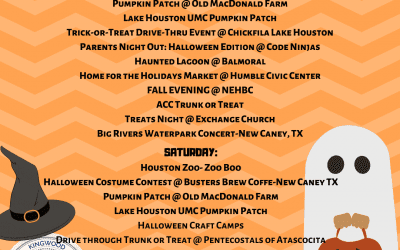 WEEKEND ROUND UP: 10/31-11/1