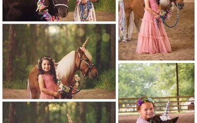 Tiffany Harston Magical Unicorn Session benefitting SIRE- Horse Therapy