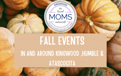 Fall Fun Guide: Fall Festivals, Trunk or Treats, Pumpkin Patches and Haunted Houses