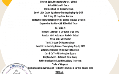 WEEKEND ROUND UP 11/20-11/22