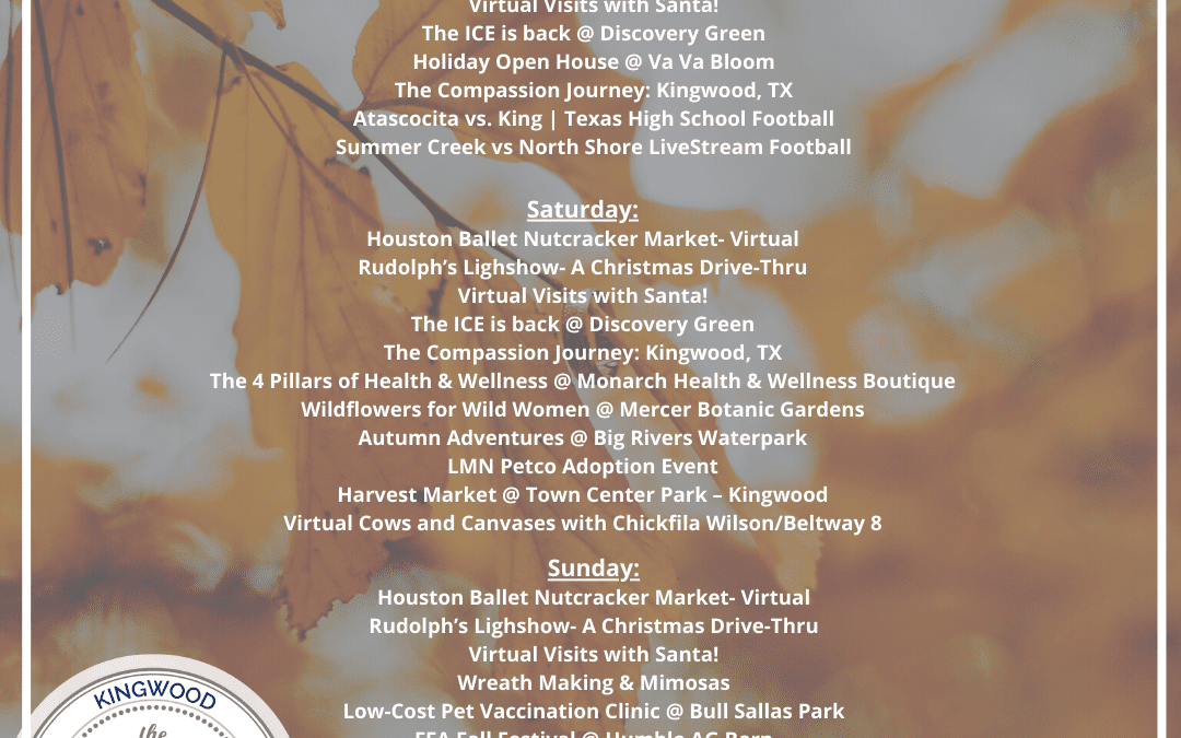 Weekend Round Up:11/13-11/15