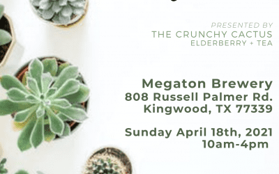 Saturday Business Feature: Christina Terry-Kingwood Artisan Market + Crunchy Cactus