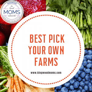 Pick Your Own (Fruits + Veggies) Farms - Kingwood Moms