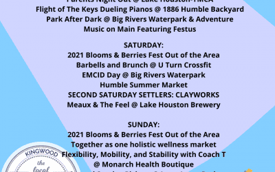 WEEKEND ROUND UP: 6/11-6/13