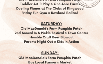 WEEKEND ROUND UP: 9/17-9/19