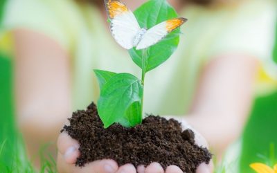 10 Ways to Celebrate Earth Day with the Kids!