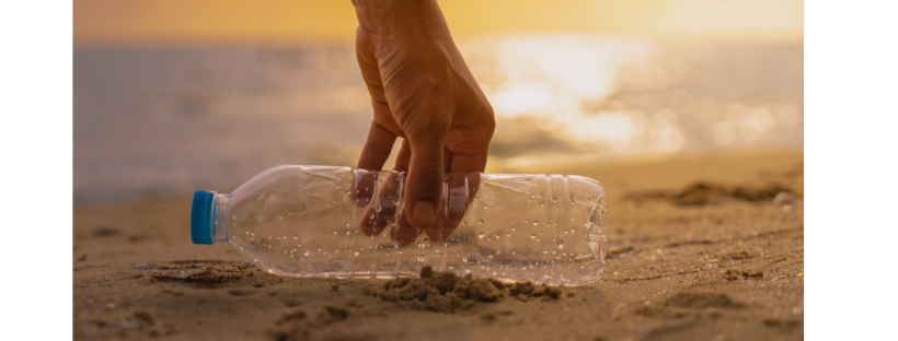 Long Beach Island Beach Cleanup!