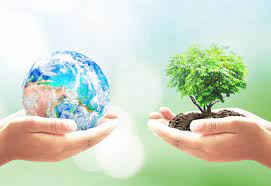 10 Things to Do on Earth Day