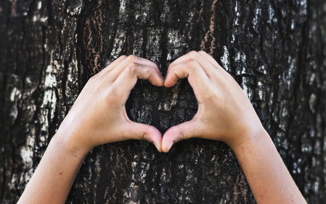 How to Get Involved in #Giving Tuesday
