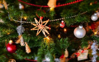 Where to Find a Christmas Tree!