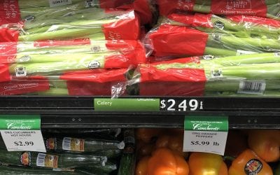 Celery Juice: Does It Work or Is It All Hype?