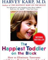 6 Mistakes Most Toddler Parents Make