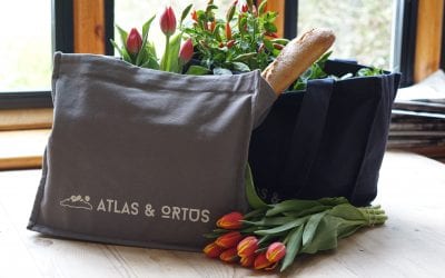CT Plastic Bag Ban In Effect Today