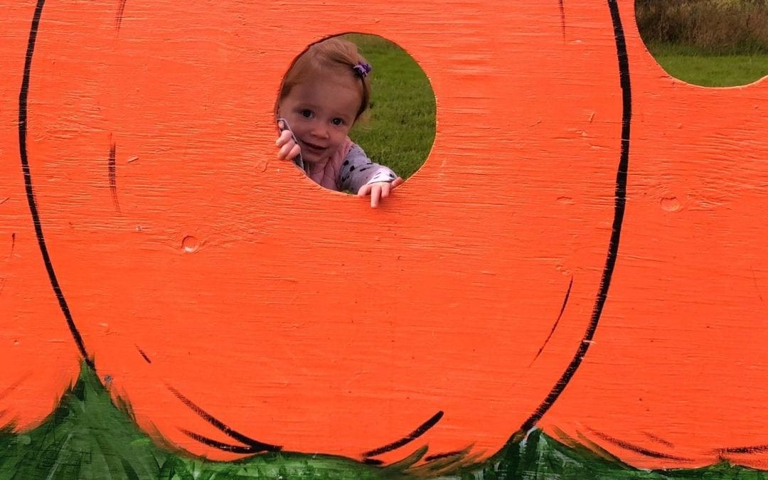 Local Pumpkin Patches