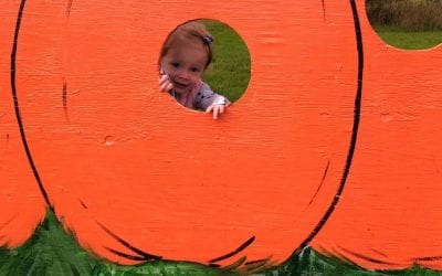 Local Pumpkin Patches