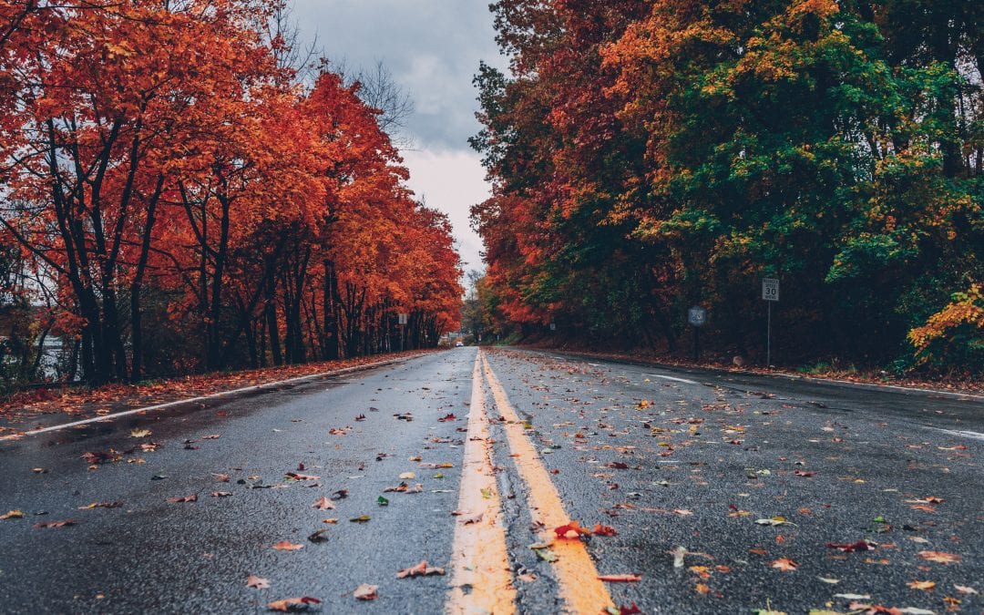 Fall Fun: Festivals & Other Weekend Activities