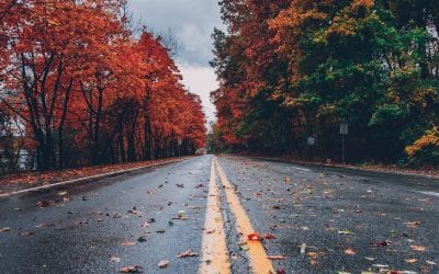 Fall Fun: Festivals & Other Weekend Activities