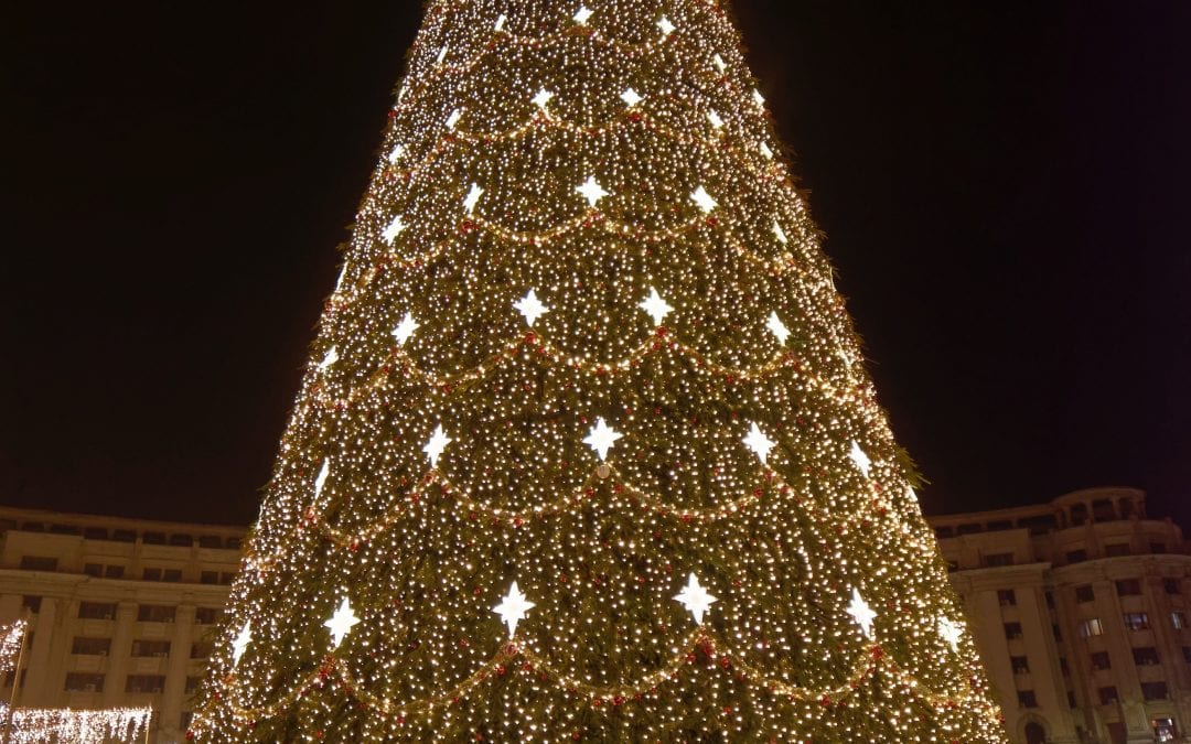 Getting in the Holiday Spirit: Christmas Tree Lightings & Festivals