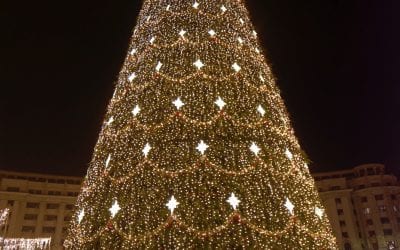 Getting in the Holiday Spirit: Christmas Tree Lightings & Festivals
