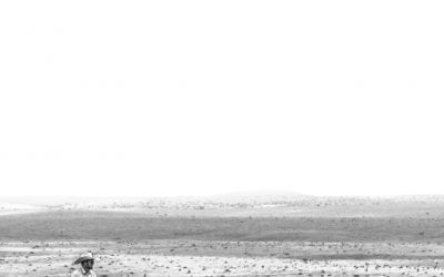 Anouk Masson Krantz: An Interview with the Photographer and Mom!