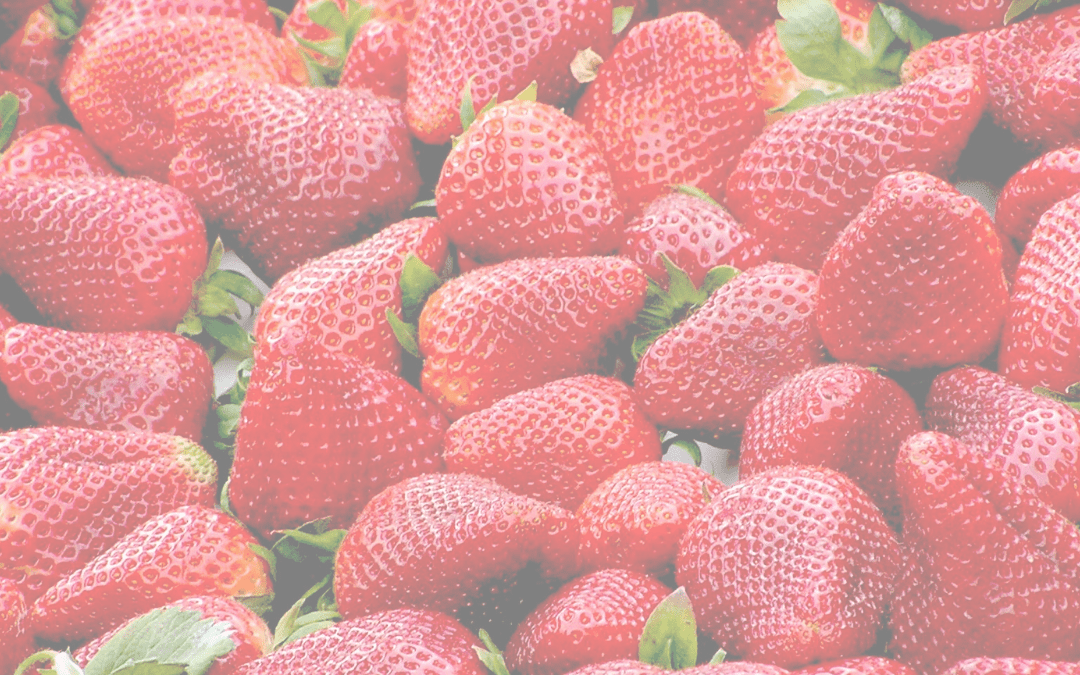 Pick Your Own Guide – Where to Go, When to Go, and COVID-19 Updates/Protocols