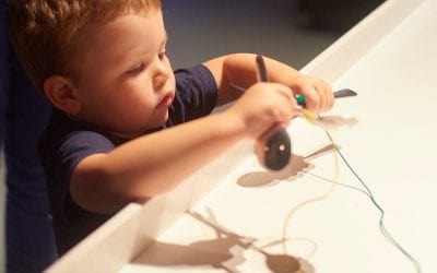 Museums, Aquariums, and Other Attractions Open This Winter in CT!