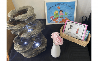 Fraser Woods Montessori Shares How Peace & Love Are Integrated in the Classroom