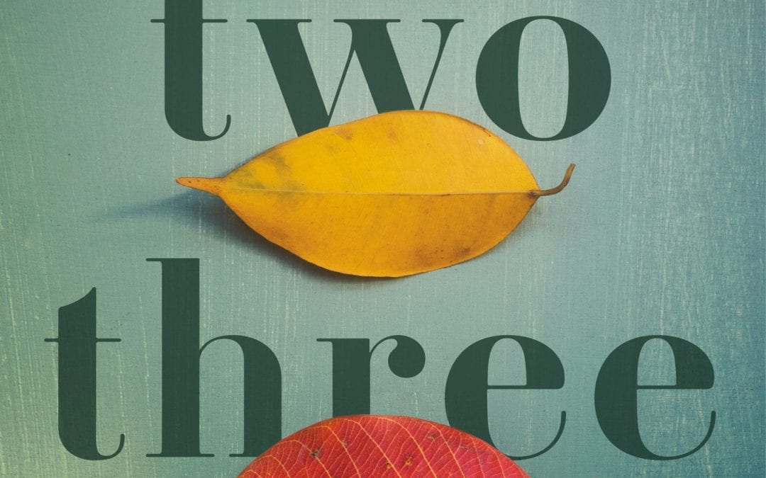 The Local Moms Network Book Club Interview: Laurie Frankel!