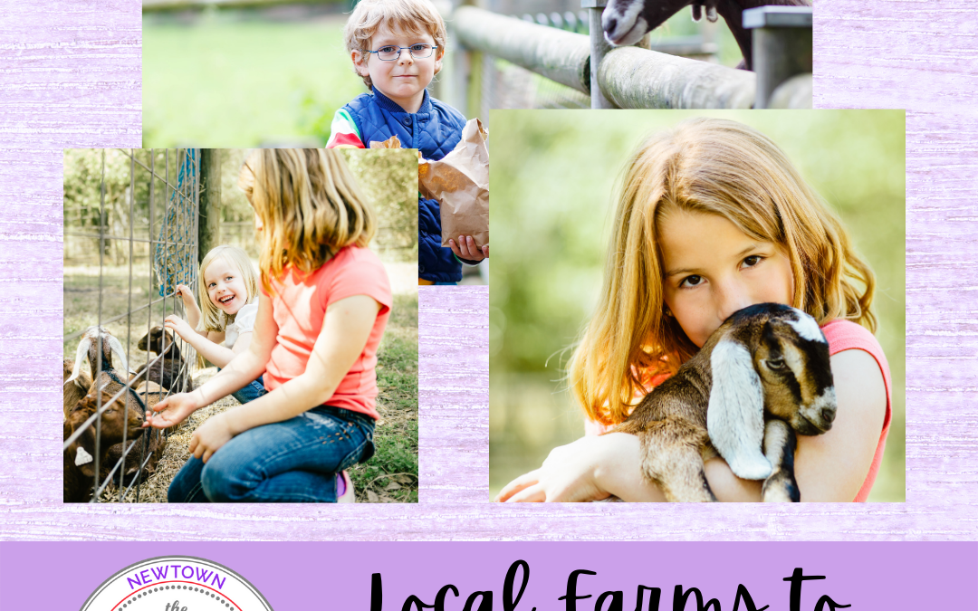 Visit a Local Farm This Spring