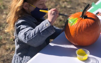 Local Pumpkin Patches!
