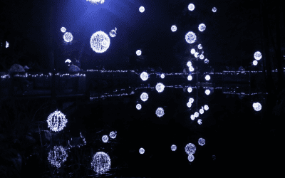 Holiday Family Activity: Lights!
