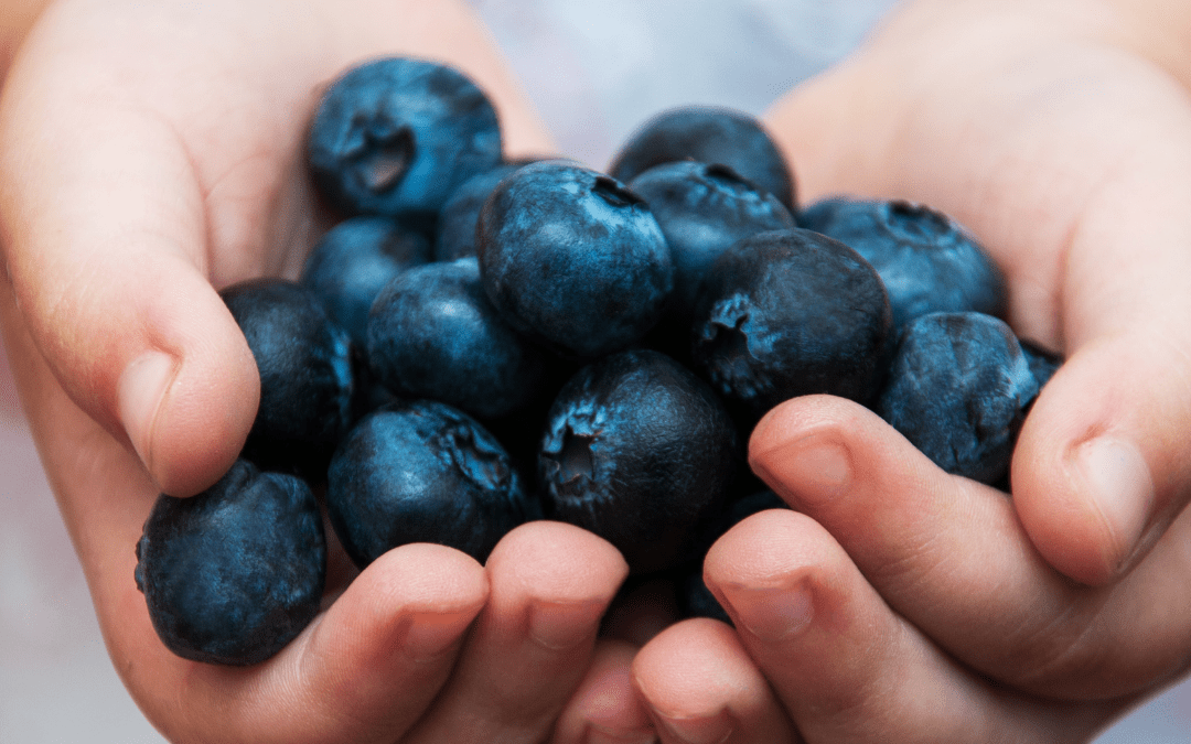 Where to Pick Your Own Fruit this Summer!