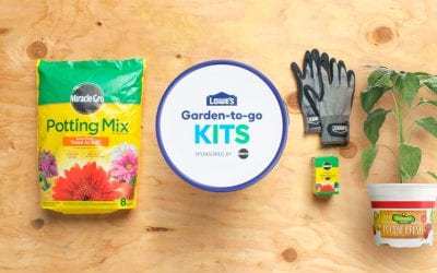 Springfest Is Here and So Are Free Curbside Garden-To-Go Kits