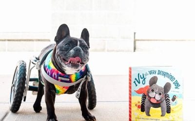 $5 Off Ivy’s Book