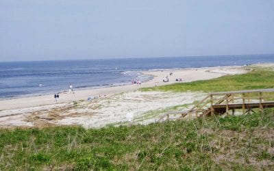 Now Reopen for Business on the North Shore: Phase 1