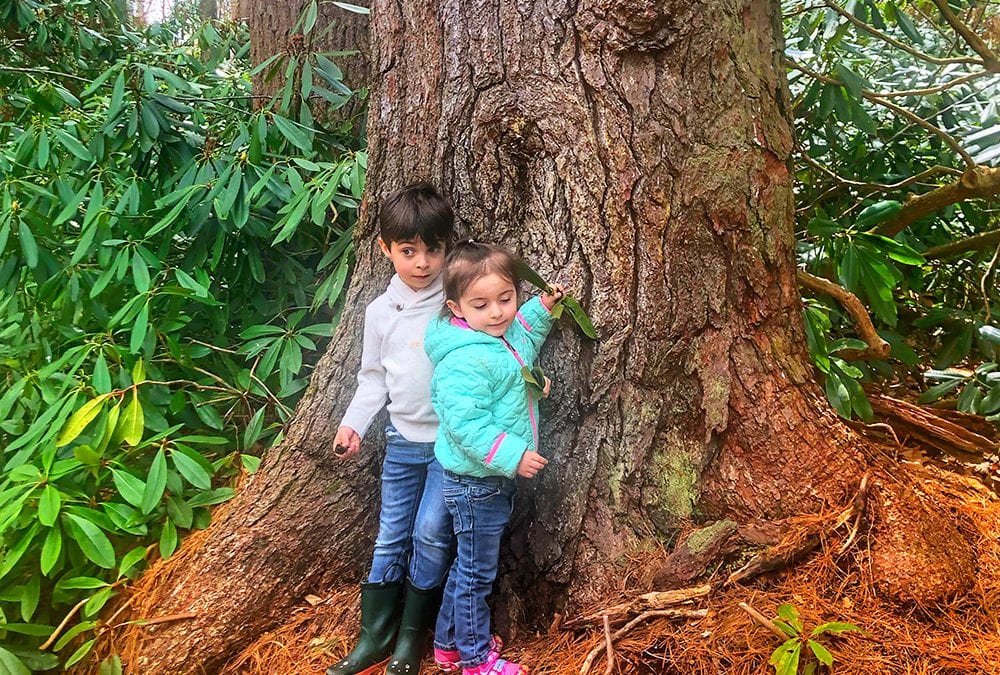 Best Spots to Hike with Kids on the North Shore